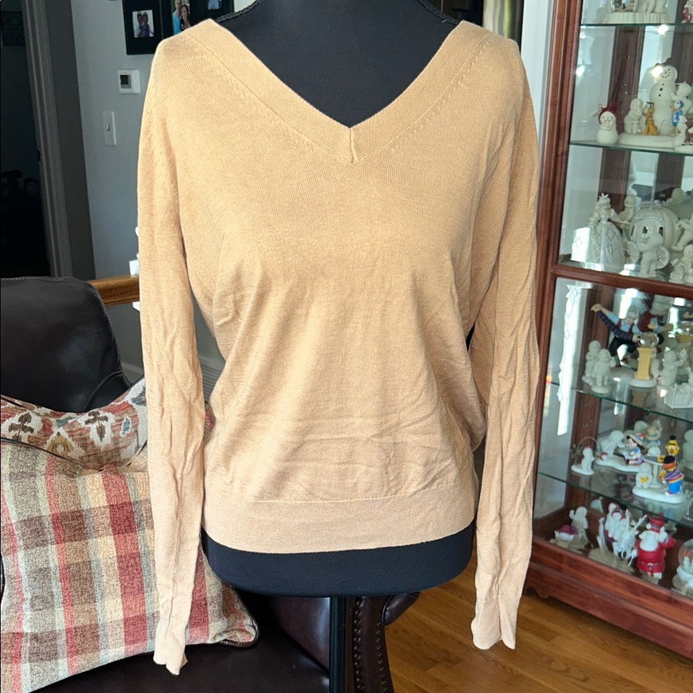 Banana Republic V-Neck Sweater in Soft Brown